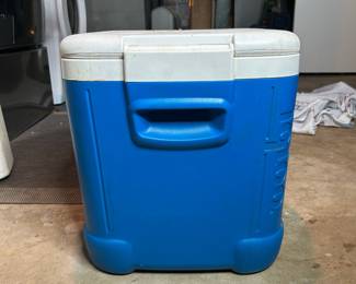 Igloo Ice Cube Cooler