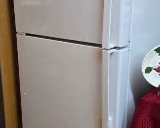 GE Fridge