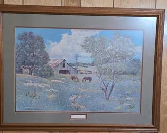 Bluebonnet Picture 