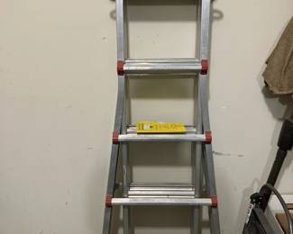 Little Giant ladder, model 10303