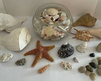 Shells Rocks, Big Small