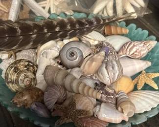 392 mixeddecorativemarineseashellandna