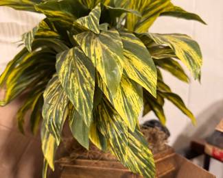 Faux plants/decor