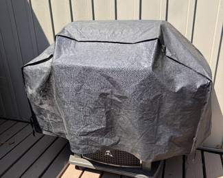 Grill with cover