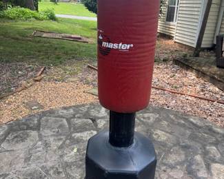Master Outdoor Kick/Punch Bag