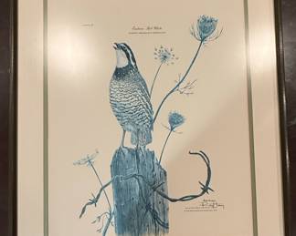 Ray Harm Eastern Bob-White Print