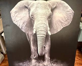 Black and White Elephant Portrait Canvas Wall Art