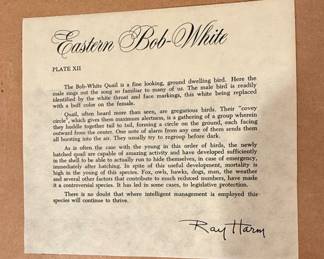 Ray Harm Eastern Bob-White Print