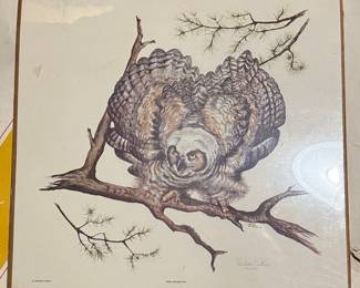 Michelle Cantrell Baby Horned Owl Limited Edition Print