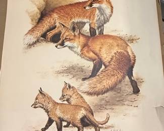 Guy Coheleach Fox Den Limited Edition Print