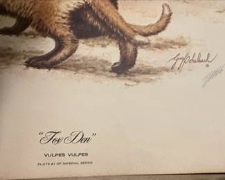 Guy Coheleach Fox Den Limited Edition Print