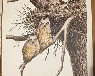 Guy Coheleach Young Great Horned Owls Signed Print