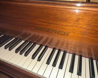 Baldwin Baby Grand Piano Style