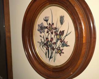 Vintage Botanical Prints in Oval Wood Frames