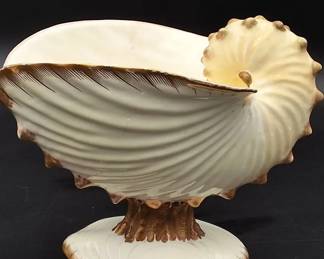 RARE* Vintage WEDGEWOOD Nautilus