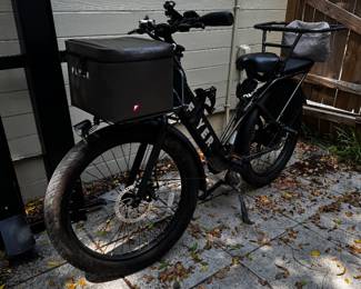 Flyer M880 Electric Bike (Black) - $950  Powerful and comfortable Flyer M880 electric bike in excellent condition. Perfect for commuting, cruising, or weekend rides. Smooth pedal assist and throttle make longer rides effortless.  Features:  * Powerful electric motor * Comfortable upright riding position * Front light included * Rear storage bag included * Battery and charger included * Well maintained and ready to ride