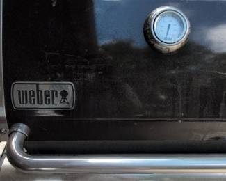 Weber Genesis E Burner Gas Grill second image