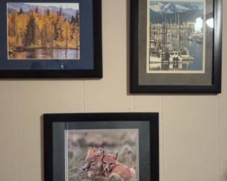Framed Nature Photography Prints, Including Wildlife
