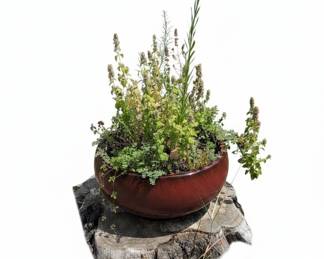 Large Red Glazed Ceramic Bowl Planter