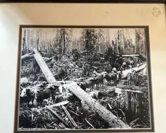 Darius Kinsey Logging Industry Photographs second image