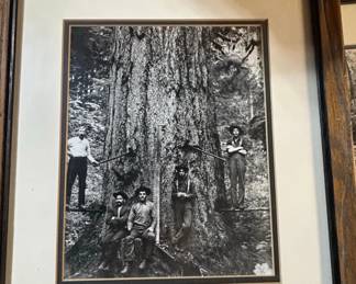 Darius Kinsey Logging Industry Photographs
