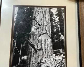 Darius Kinsey Logging Industry Photographs third image