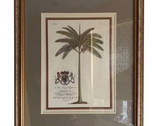 Botanical Prints of Palm and Banana Trees, Attributed to Georg Dionysius Ehret, for Prince Frederick third image
