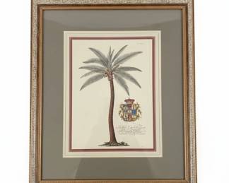 Botanical Prints of Palm and Banana Trees, Attributed to Georg Dionysius Ehret, for Prince Frederick