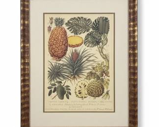 Botanical Print of Tropical Fruits Pineapple, Cherimoya, and Sour Sop