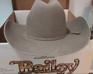 Bailey Roper X Longhorn Felt Cowboy Hat