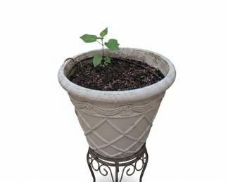 Decorative Planter Pots with Ornate Stands