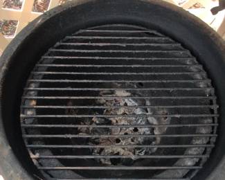 Big Green Egg Grill second image