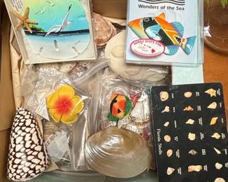 Beach Decor and Shells