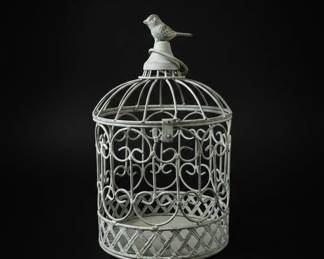 Decorative Metal Birdcage and Planter Set