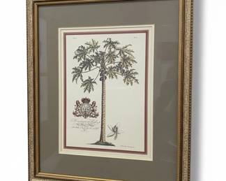 Botanical Prints of Palm and Banana Trees, Attributed to Georg Dionysius Ehret, for Prince Frederick fifth image