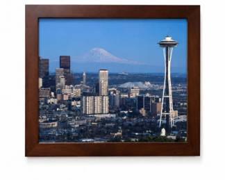 113 SeattleSkylineSpaceNeedleFramedPhotograph