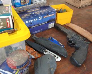 Ammo, shells, bb's