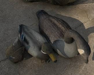 Duck decoys