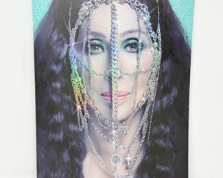 16 CherD2KTour2014CollectableBook