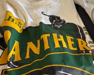 Peoria, Arizona High School Panthers