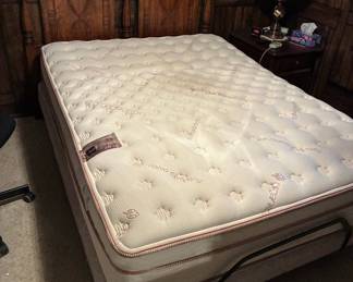 Queen Adjustable Bed