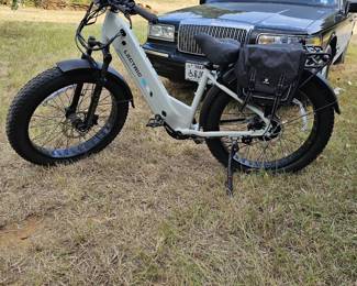 Lectric Bike
