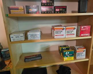 Ammunition 