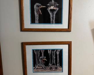 Ostriches!
