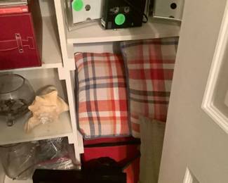 Needlepoint pictures in closet.
