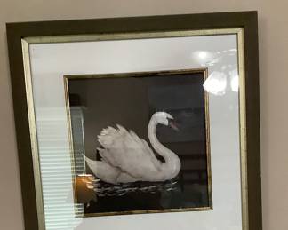 Beautiful swan pucture.