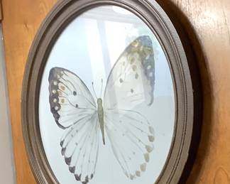 Beautiful butterfly picture.