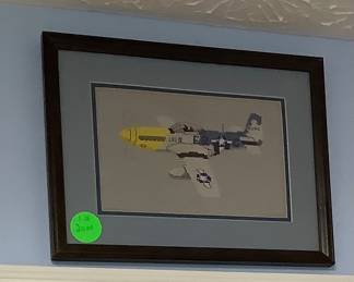 Needlepoint airplane.