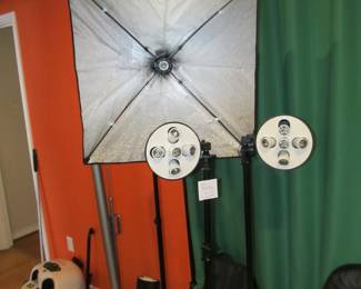 Neewer studio lighting w/ bag