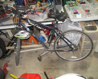 Men's Bike, Edgewood Diamond Back